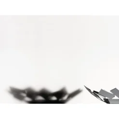 Alessi Schale 24,5 x 23,2 cm weiss La Stanza dello Scirocco