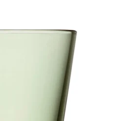 Iittala Trinkglas 2er-Set 0,21 l Kartio Tannengrün