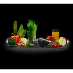 Lurch Entsafter Funktionsteil Base & Soul iron grey / weiß