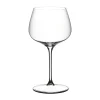 Riedel Chardonnay-/Gin Tonic-Glas 2er-Set Grape klar