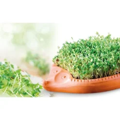 Kräutergarten<Römertopf Kresse-Igel