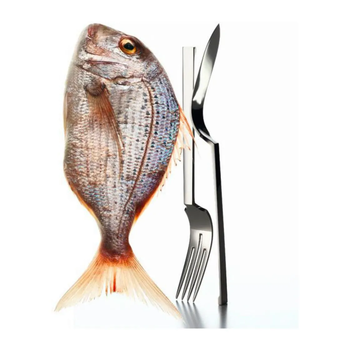 Robbe & Berking Fischmesser Sphinx 150g versilbert