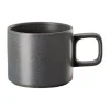 Rosenthal Kaffee/Teetasse 0,3 l Bloom Lava