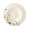 Rosenthal Suppenteller 23 cm Fahne Brillance Fleurs des Alpes