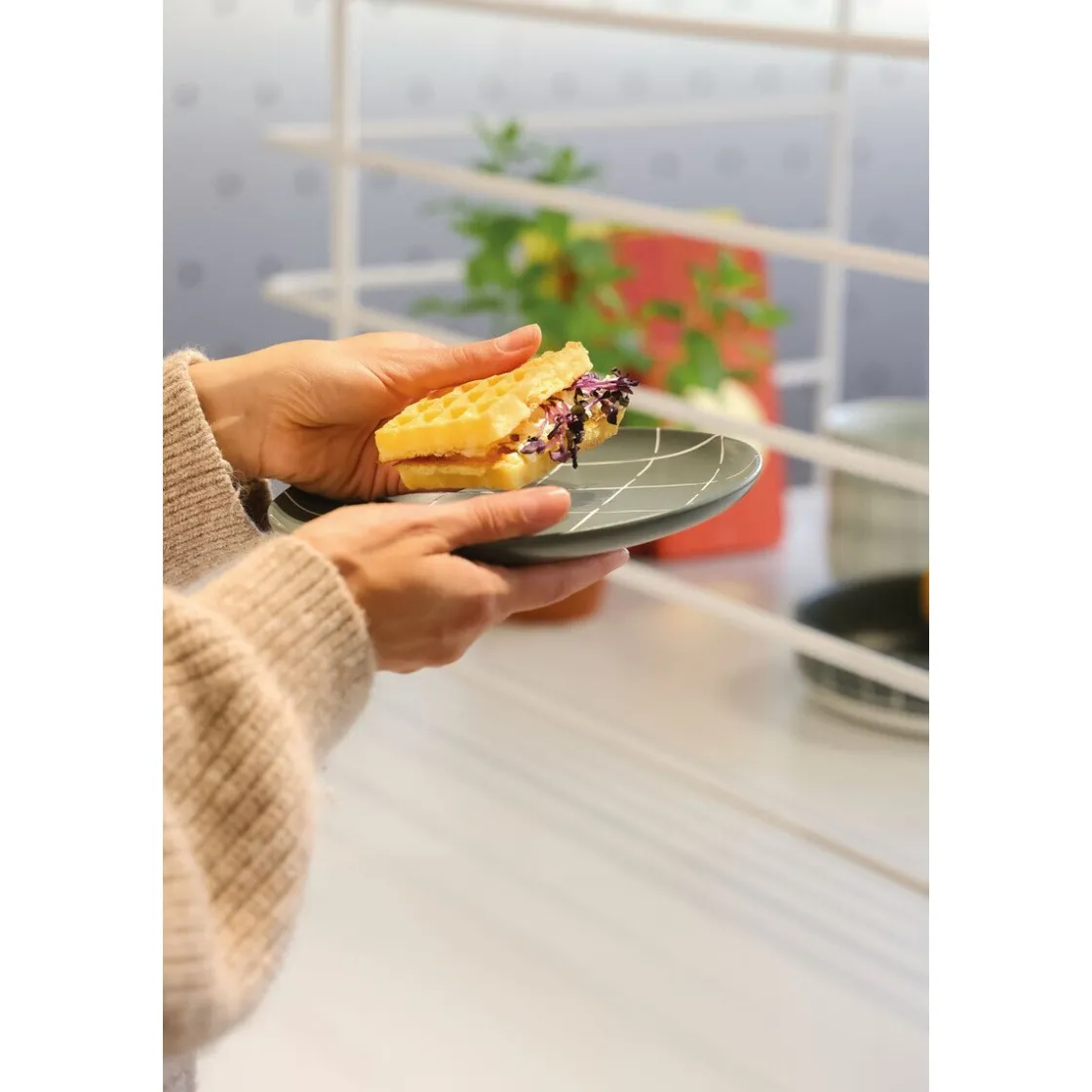 Speiseteller<Thomas Teller 22 cm Fun Karo dark