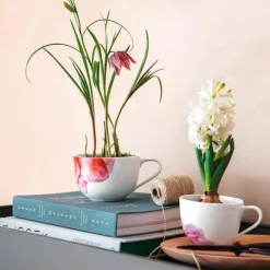 Villeroy & Boch Frühstücks Obere 0,45 l Rose Garden