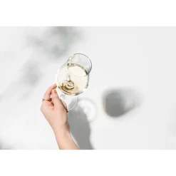 Zwiesel Glas Weißweinglas 2er-Set Duo mit Moussierpunkt klar